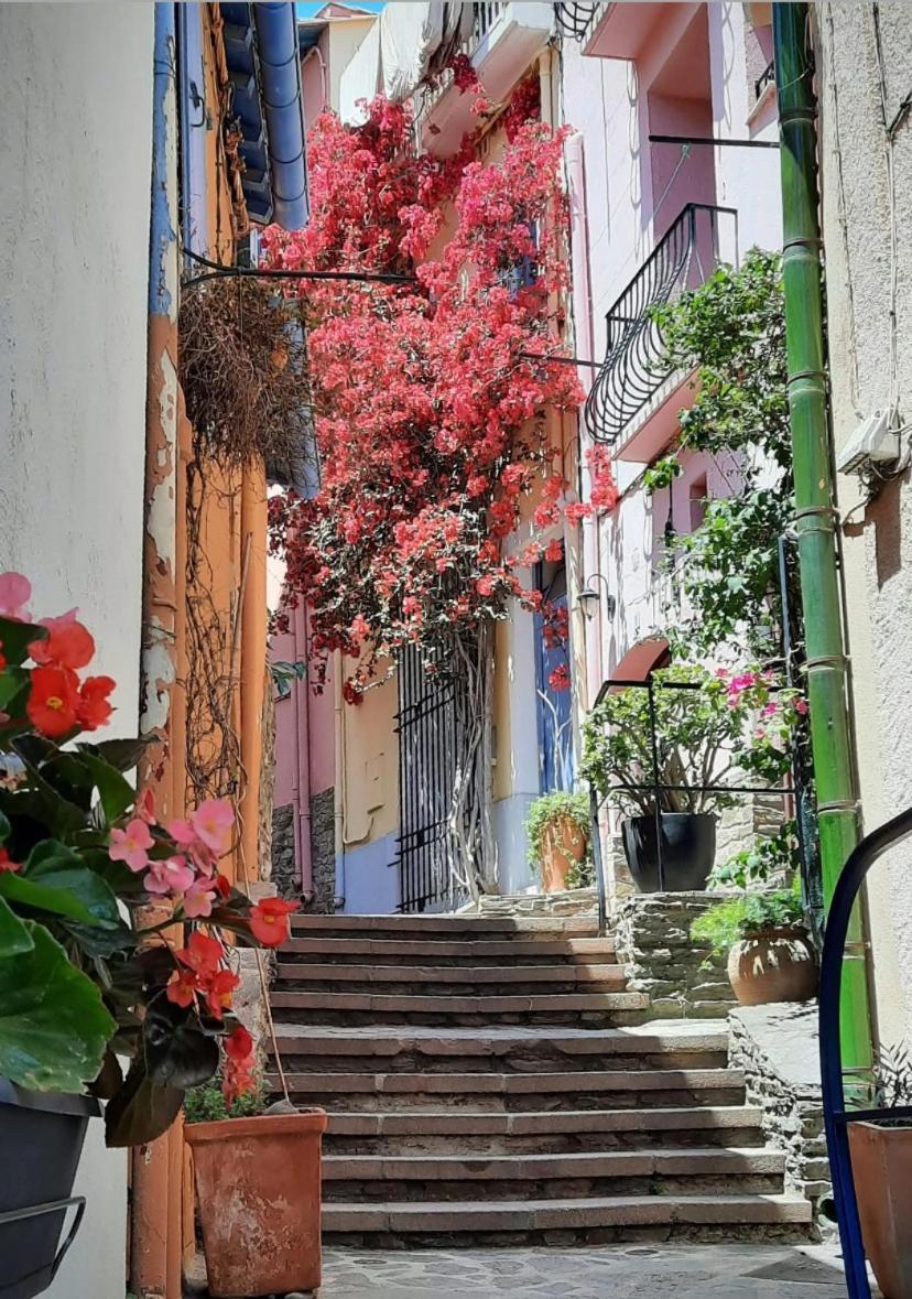 Studio Collioure Mouret Екстер'єр фото